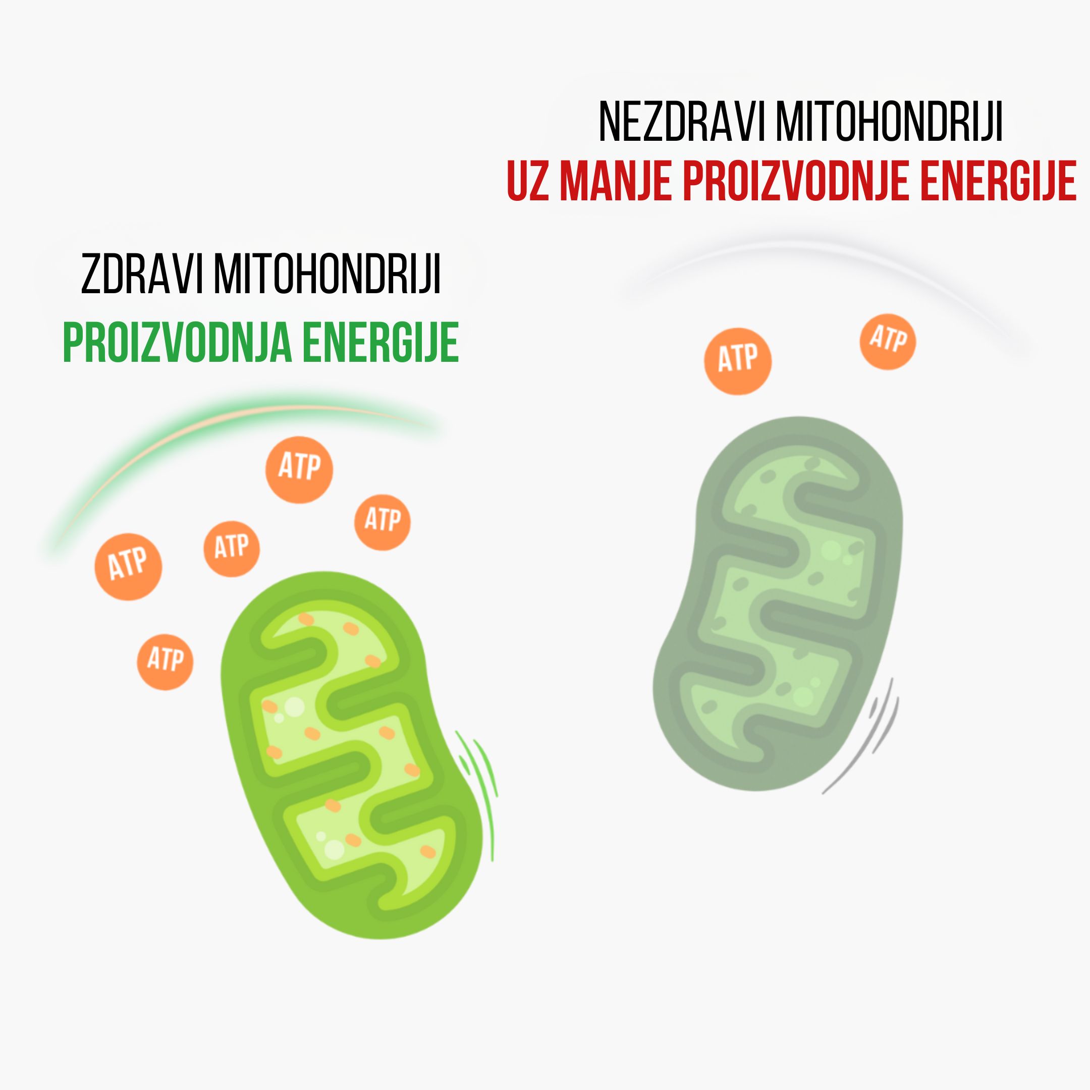 (Chorvatština) - 2024-11-14T200826.405